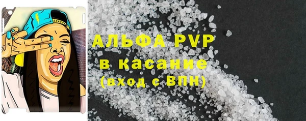 сатива Медногорск
